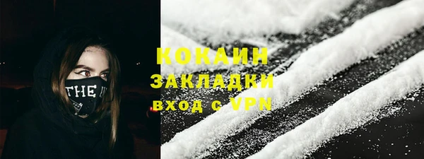 ALPHA PVP Каменка