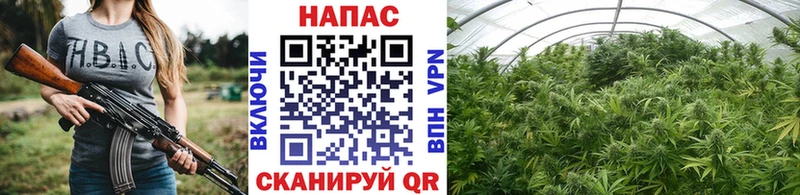 МАРИХУАНА Ganja Ужур